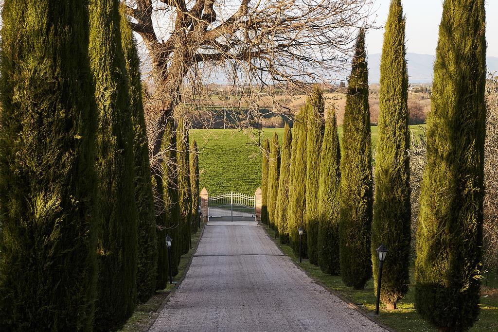 Podere Fontegallo Castiglione del Lago Exterior foto