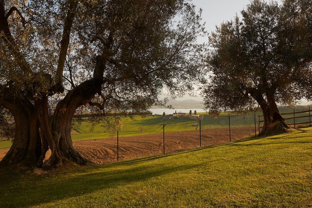 Podere Fontegallo Castiglione del Lago Exterior foto