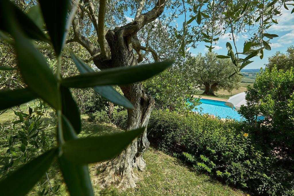 Podere Fontegallo Castiglione del Lago Exterior foto