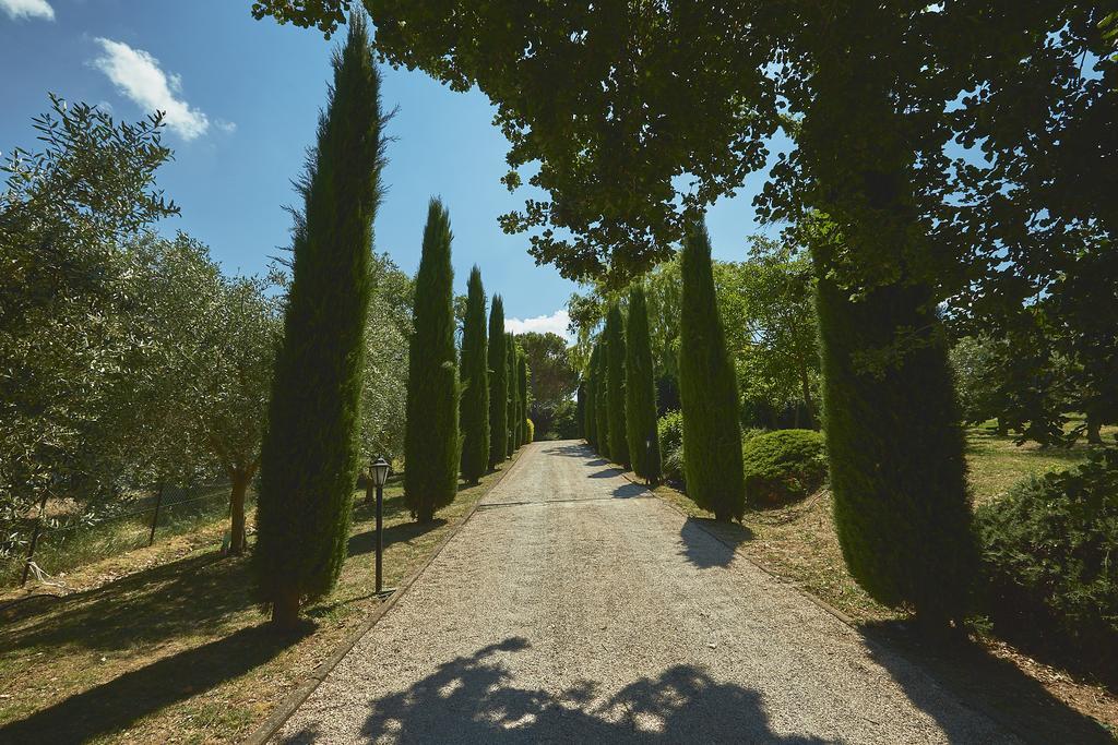 Podere Fontegallo Castiglione del Lago Exterior foto